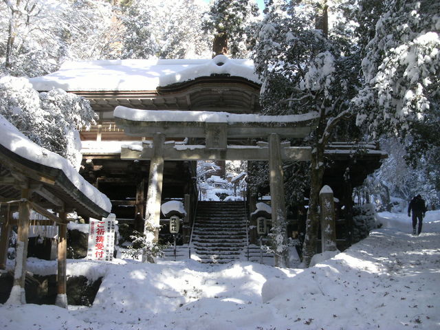 ��̂悤�Ɍ�����q�a_�R��_��