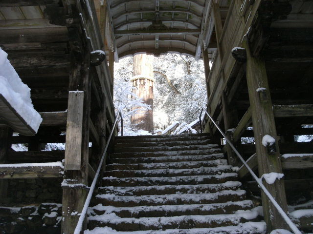 �q�a�̉���Βi���ʂ�_�R��_��