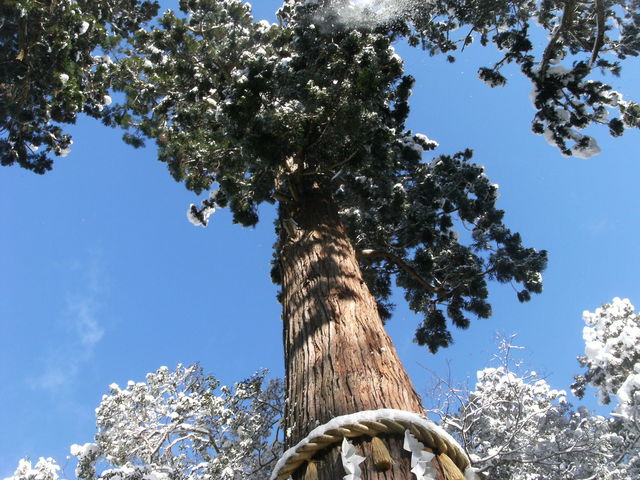 �吙_�R��_��