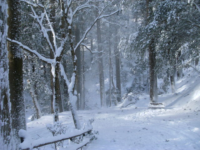 ��\��܂̓�_�Ɣn�R