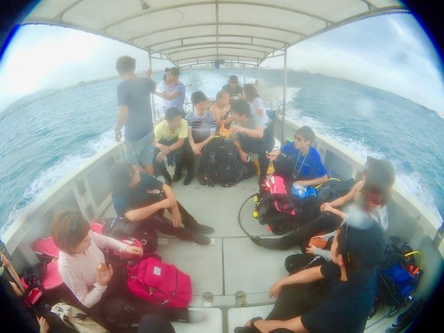 �c�̃c�A�[�Ȃ�A���D���`���[�^�[�ł��܂��B���l�ł��󂯓���\�I_�}�[���F���X�v���W���[�C�V�K�L