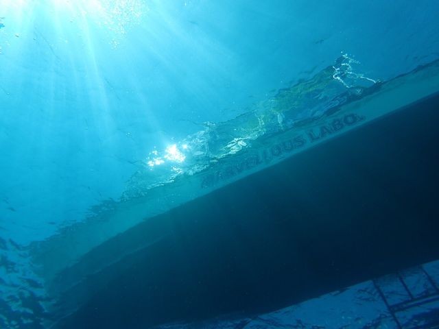 ��������B�e�����v���W���[�D��_�}�[���F���X�v���W���[�C�V�K�L