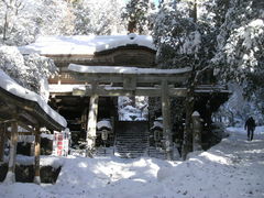 ibokorori̗R_Ђւ̓eʐ^1