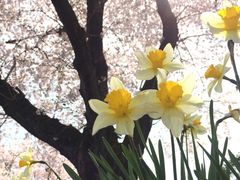 �݂�����̍O�o���ւ̓��e�ʐ^1