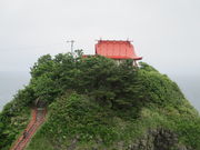 yosshy̋{ÕٓV̓eʐ^1