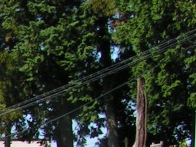 肷̓}_Ђ̃PL̓eʐ^1