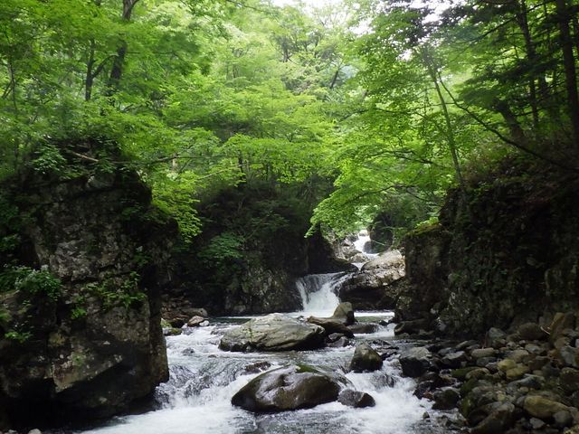 �����΂���C���Ƃ��Ă��L���C�Ȑ�ł����I���w���܂މƑ�3�l�ŎQ�����Ă��܂����I_�t�B�[���h�A�[�X����