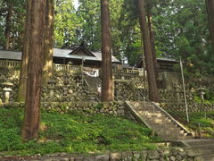 sklfhさんの大州七椙神社の千年杉への投稿写真1