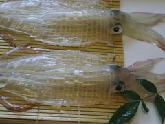 ݂񂳂̋th@cւ̓eʐ^1