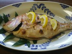 ݂񂳂̋th@cւ̓eʐ^2