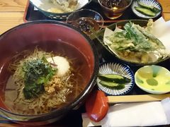 肳̂䂤؉Ƃւ̓eʐ^1