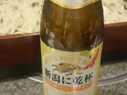 肳̐{≮ VwOX̓eʐ^2