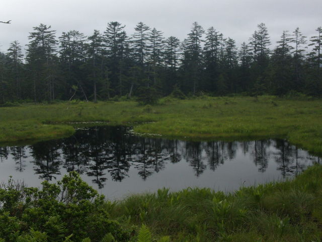 �Ώ�_��������