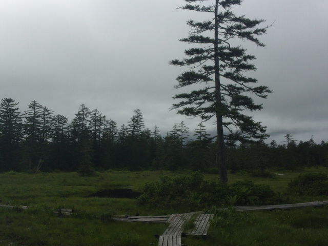 �ؓ�_��������