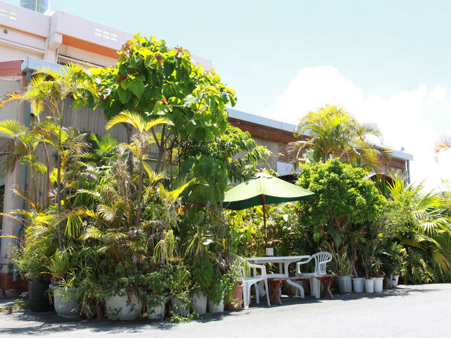 kijimunar̉ꂻ Ⴘ̓eʐ^1