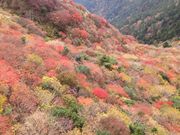 poporon̕x̍gtт̓eʐ^1