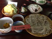 Ȃvې̒ ˉB{X̓eʐ^1