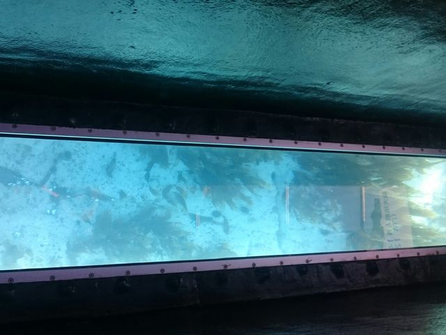 �C�̒�_�̓��A�@���M�O���X�{�[�g