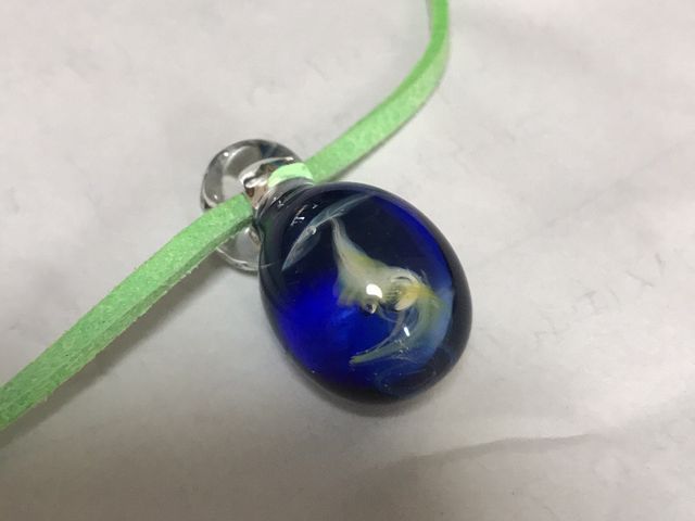 ���炰�E�E�E�������I���Ċ����ł����A�s�v�c�ȑf�G�Ȋ������o�܂����B_�K���X�H�[�A���R�X