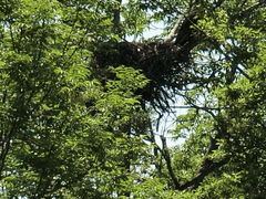 sutokuinRmA[nւ̓eʐ^3