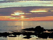 񂳂̓̉w@ӂ炩Ă@̓eʐ^1