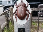 Ƃ񂳂̑ٓ̉Ƃ̓eʐ^2