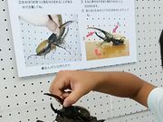 Ƃ񂳂̑ٓ̉Ƃ̓eʐ^3