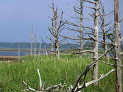 sutokuin̕ʊCόD̓eʐ^2