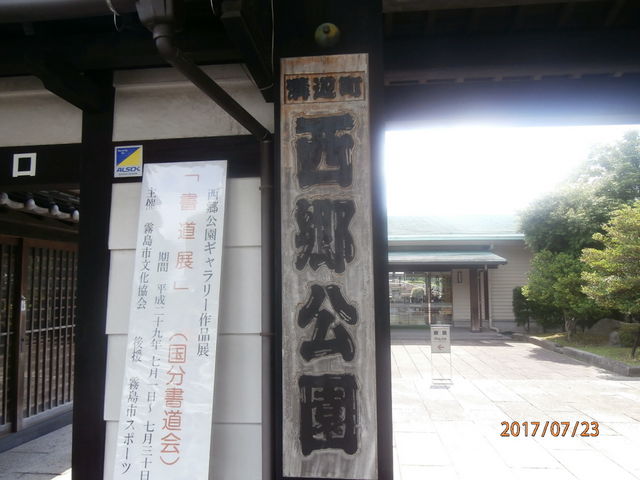 ���������_��������