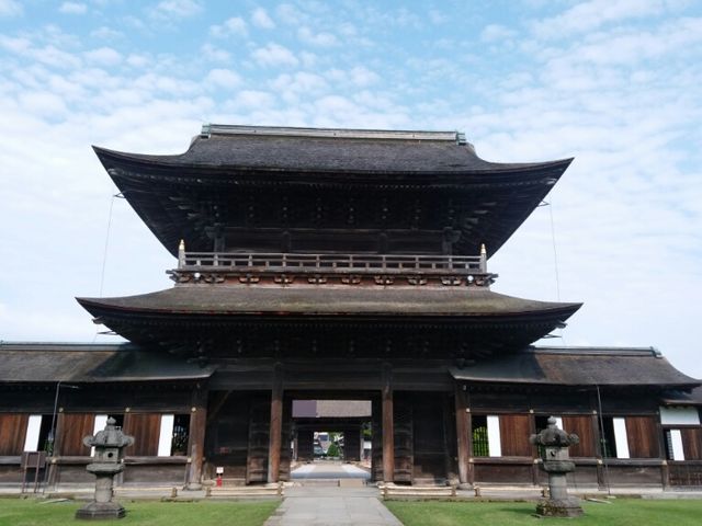 ������_������