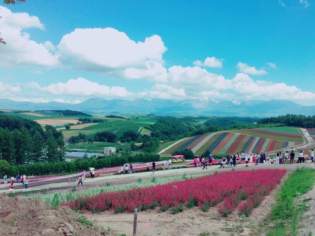 �������ڂ��猩��̂��Y��ł�_�l�G�ʂ̋u