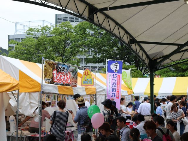 ���������_���������