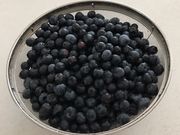 Ƃ񂳂̃N^t[ct@[̓eʐ^1