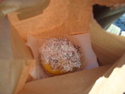 񂲂َ̉q̖؂̓eʐ^1