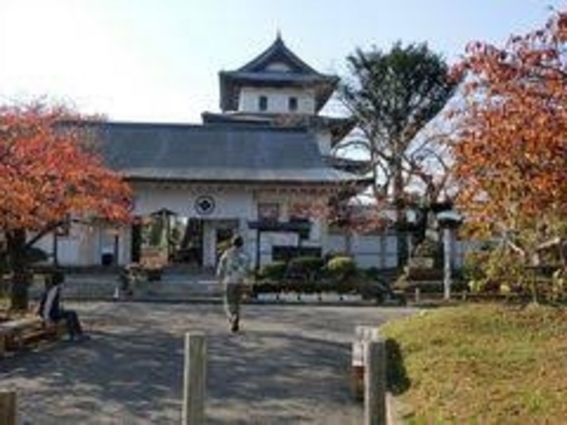 �Ђ����牓��_���O��