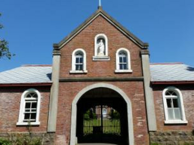 �\�t�g�N���[������_�����V�g�[���̐����C���@�i�g���s�X�g�C���@�j