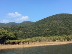 ݂̃}O[uJk[c[Oւ̓eʐ^1