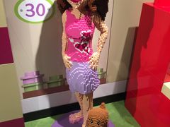 ptF̃ShEfBXJo[EZ^[ւ̓eʐ^1