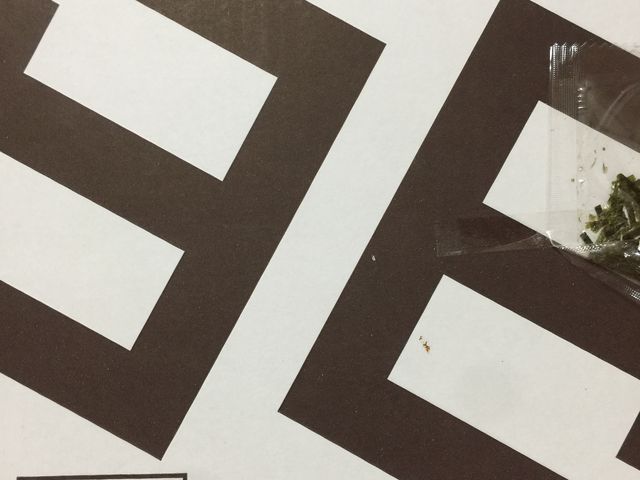 |^̃sUEgp[eB[HX̓eʐ^1