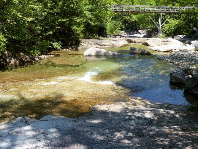 �쉈���̓�_�ԑ򎩑R�x�{��