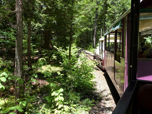 �X�ѓS��_�ԑ򎩑R�x�{��