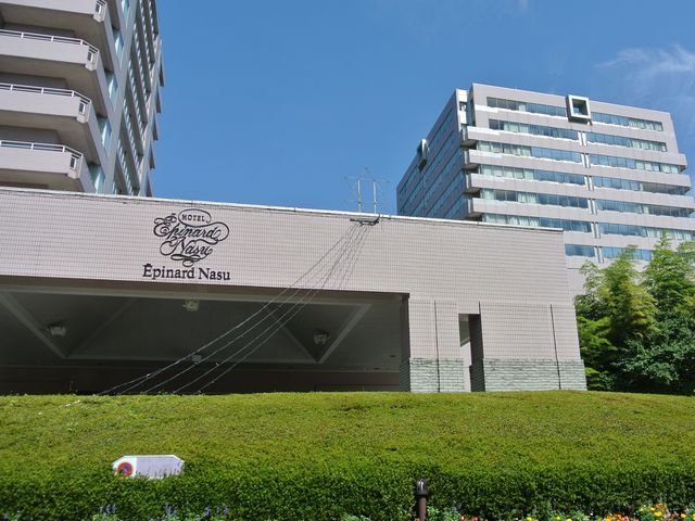 ���h�ȊO��_�z�e���G�s�i�[���ߐ{