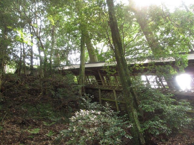 �K�@���������ŏC������邻���ł�_�O�����_�Љ���