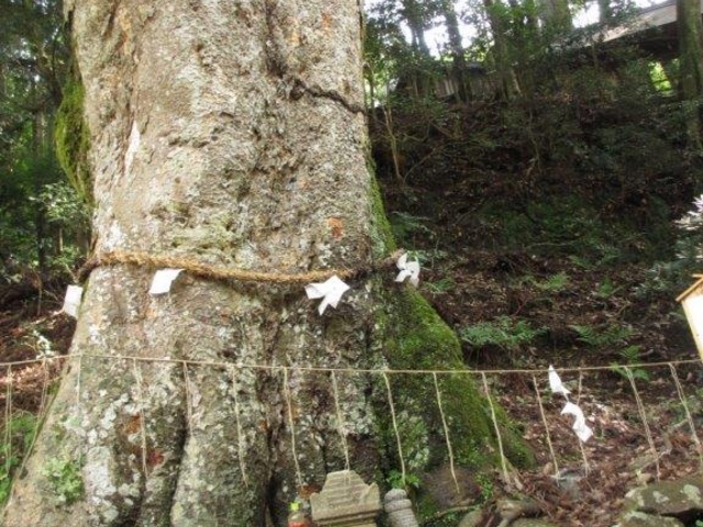 ���_��
�������ؔ��ł���_�O�����_�Љ���