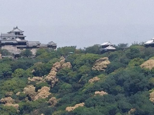 ���R��_��ϗ��Ԃ�����