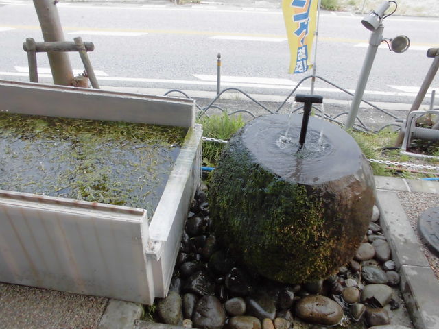 oĂ܂Bu~ԑvĂĂ܂B_䐅̏hw