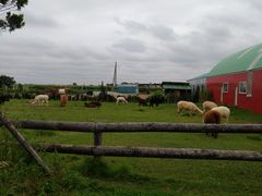 yookõA[Xh[pR_ւ̓eʐ^1