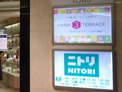 }S[̓SݓX@rܓXւ̓eʐ^1