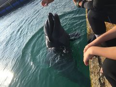 Ȃ̐Ί_h[όւ̓eʐ^1