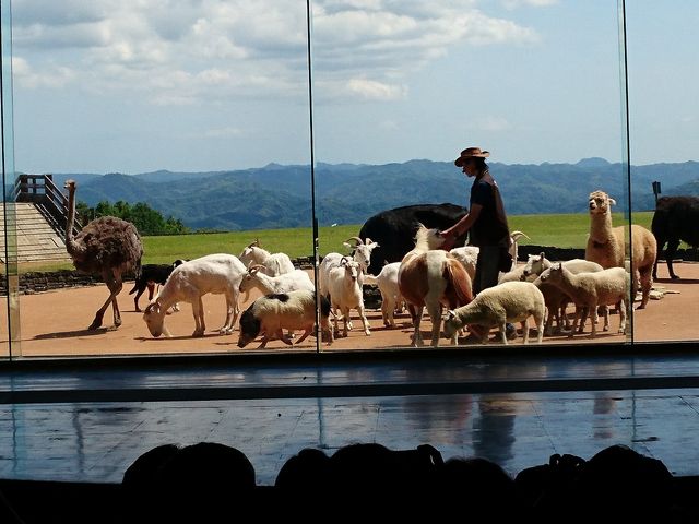 �䂩���Ȓ��Ԃ���_�}�U�[�q��